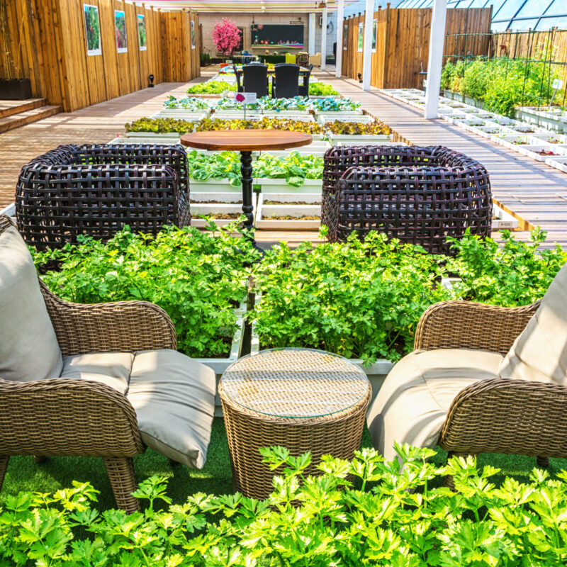 A covered lifestyle garden with indoor and outdoor living