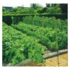 Plasa pentru castraveti 1.7 x 5m gr 120247 Nortene - imagine 2