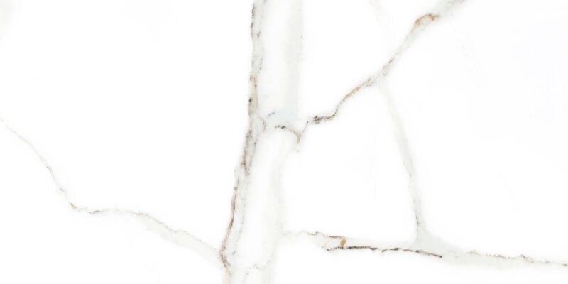 Faianta alba DELPHI WHITE 4856-4928, tip marmura, finisaj lucios, 25x50cm - imagine 4