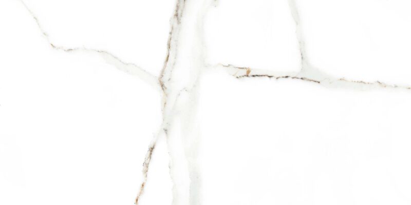 Faianta alba DELPHI WHITE 4856-4928, tip marmura, finisaj lucios, 25x50cm - imagine 5