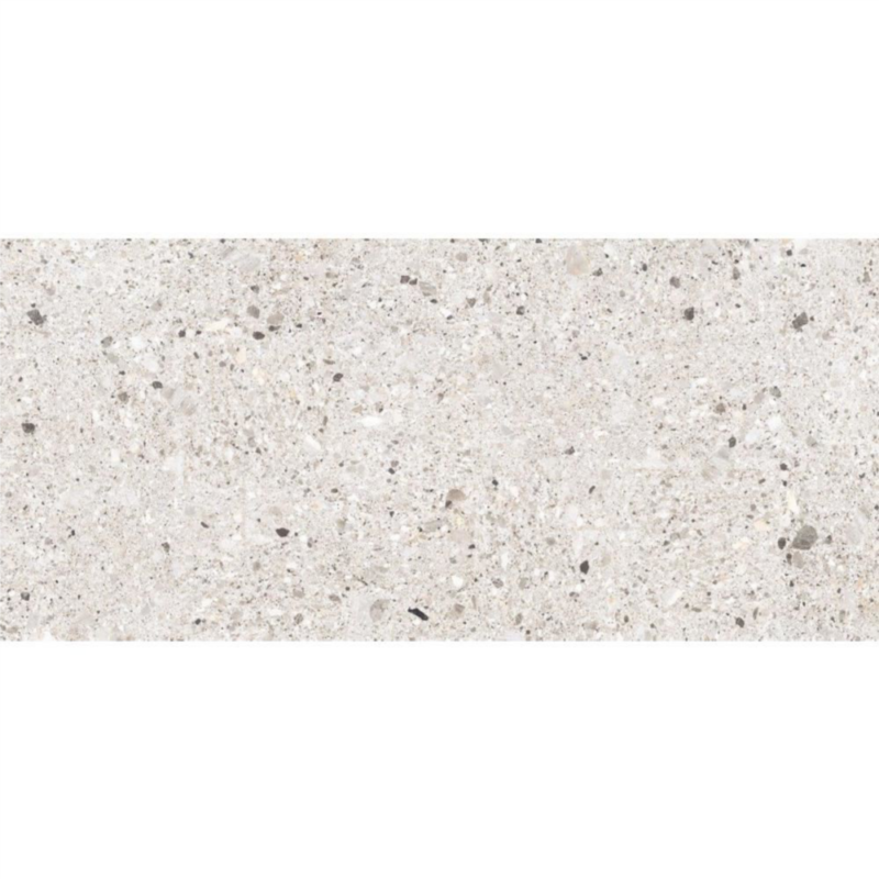 Gresie portelanata tip piatra Terrazzo Mono Bone, 60x120 cm, 87825110, Gri - imagine 1